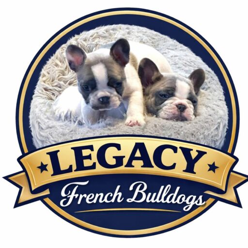 legacyfrenchbulldogs.com